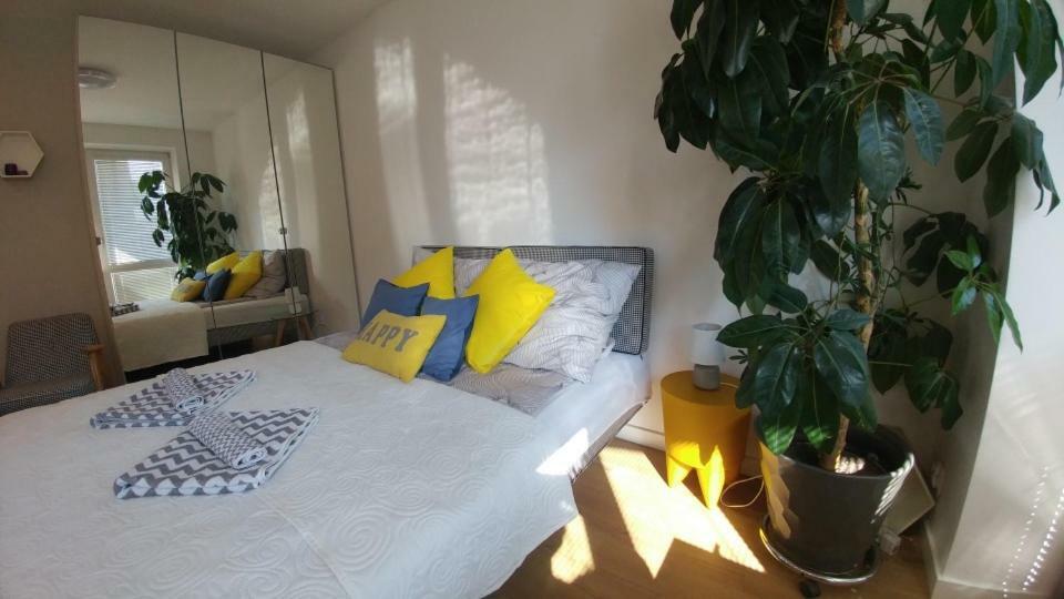 Apartament Centrum Augustów Zewnętrze zdjęcie